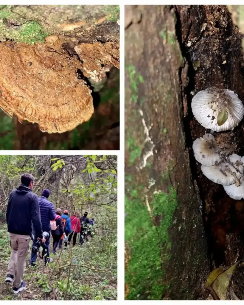 WhatsApp Image 2025-09-08 at 12.03.35 PM (1)